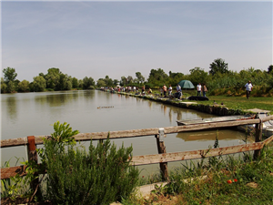 img-art-mini-33-avis-gara-di-pesca-002.jpg